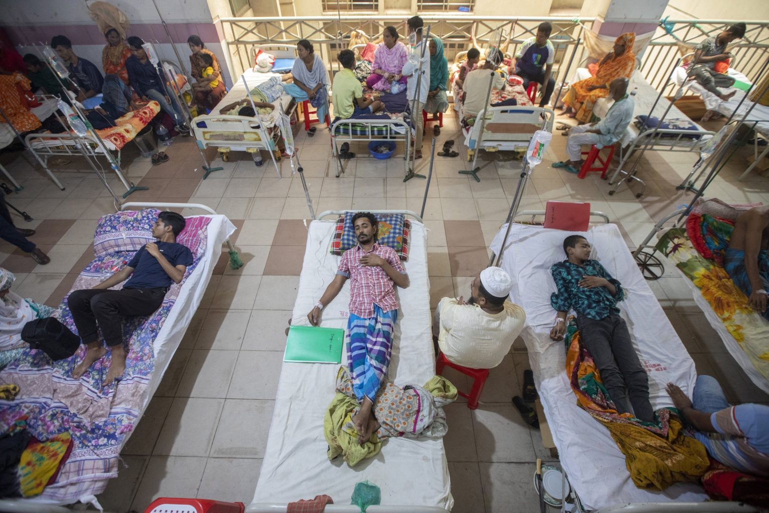 Dengue-Rekord in Bangladesch Ursachen & Reaktionen