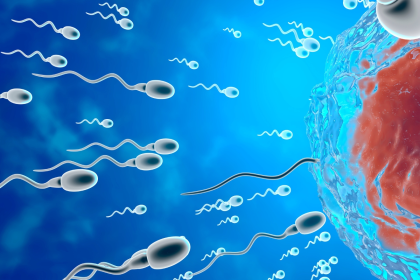 Junger Gründer startet Biotech-Game „Sperm Racing“