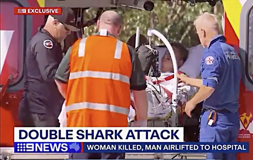 Haiangriff am Kylies Beach: Junge Frau tot aufgefunden