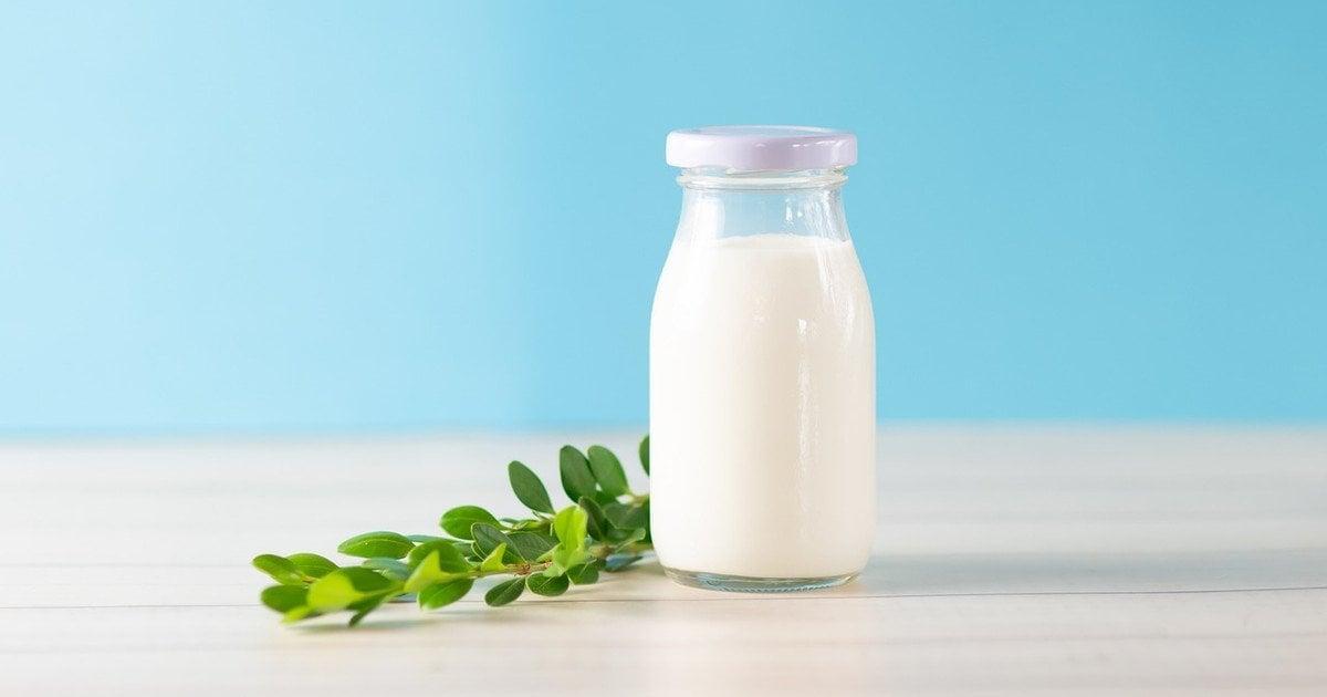Kefir trinken: gesundheitliche Vorteile und tägliche Wirkung