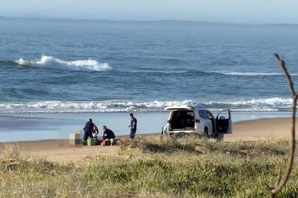 Haiangriff in Australien: Schweizerin stirbt an Traumstrand