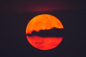 Mondkalender 2025: Interpretation des 21. Mondtages am 11. Dezember