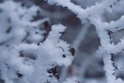 Wetter in Baden-Württemberg: Wo es am Wochenende schneien kann