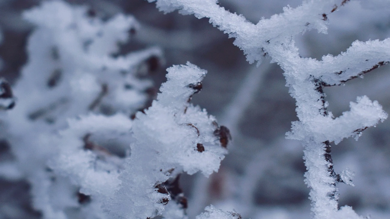 Wetter in Baden-Württemberg: Wo es am Wochenende schneien kann