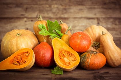 Kürbis im Garten anbauen: Wann man 2026 in Deutschland mit der Aussaat beginnen sollte