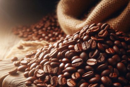 Arabica oder Robusta: Unterschiede und welche Bohne besser ist. Geschmack, Koffein und Preis erklärt