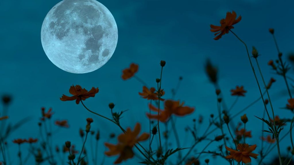 Mondkalender Mai 2026: Daten von Neumond und Vollmond