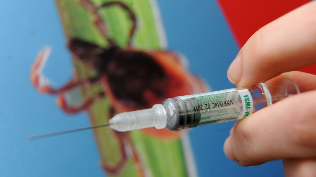 FSME-Impfung in Deutschland 2026: Termine, Schutz und wichtige Infos