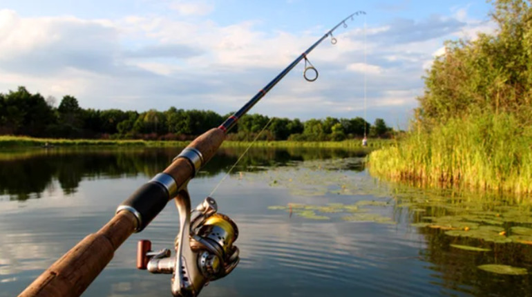 Mondphasen und Angeln Mai 2026: Erfolgreiche Tage im Überblick