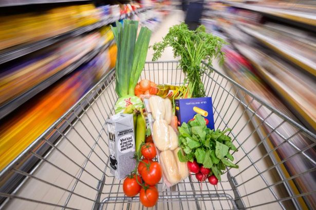 Salmonellen in Instant-Nudeln entdeckt: Große Rückrufaktion in Deutschland