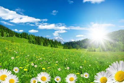Sommer 2026 in Deutschland: Wetterprognose und Trends