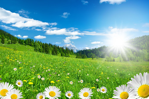 Sommer 2026 in Deutschland: Wetterprognose und Trends