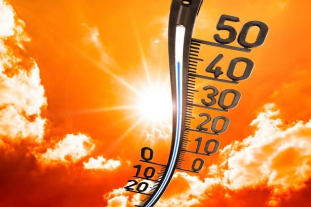 Hitzewelle 2026 in Deutschland: Was tun bei Extremtemperaturen?