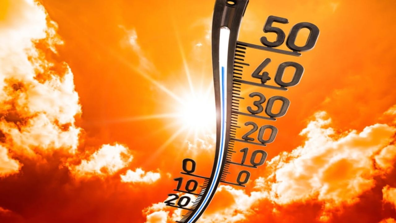 Hitzewelle 2026 in Deutschland: Was tun bei Extremtemperaturen?