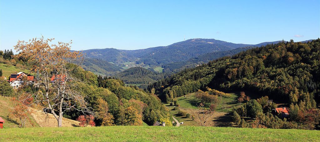Wandern im Schwarzwald 2026: Top 10 Routen