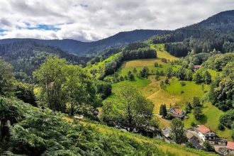 Wandern im Schwarzwald 2026: Top 10 Routen