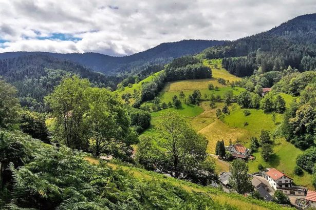 Wandern im Schwarzwald 2026: Top 10 Routen