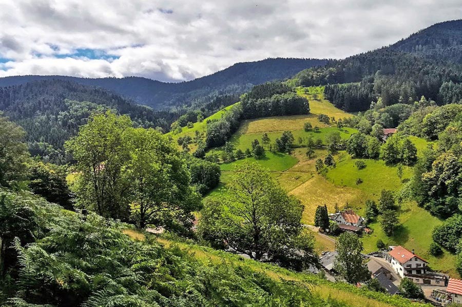 Wandern im Schwarzwald 2026: Top 10 Routen