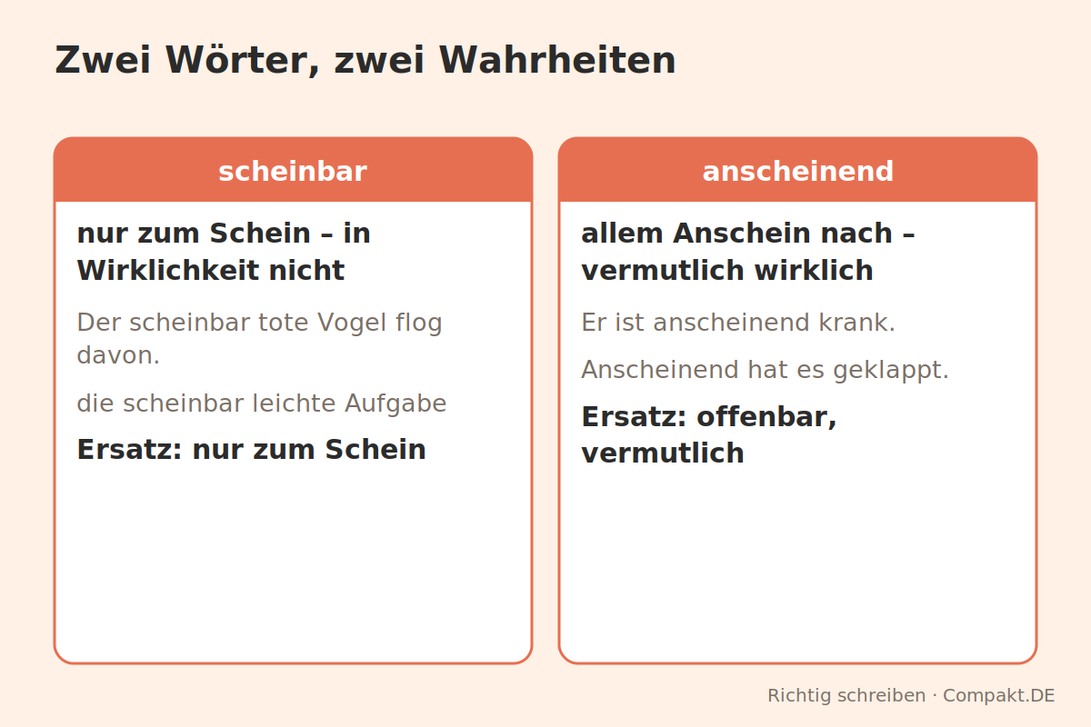 Infografik: Zwei Wörter, zwei Wahrheiten