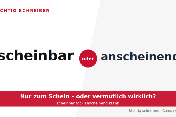 Compakt.de